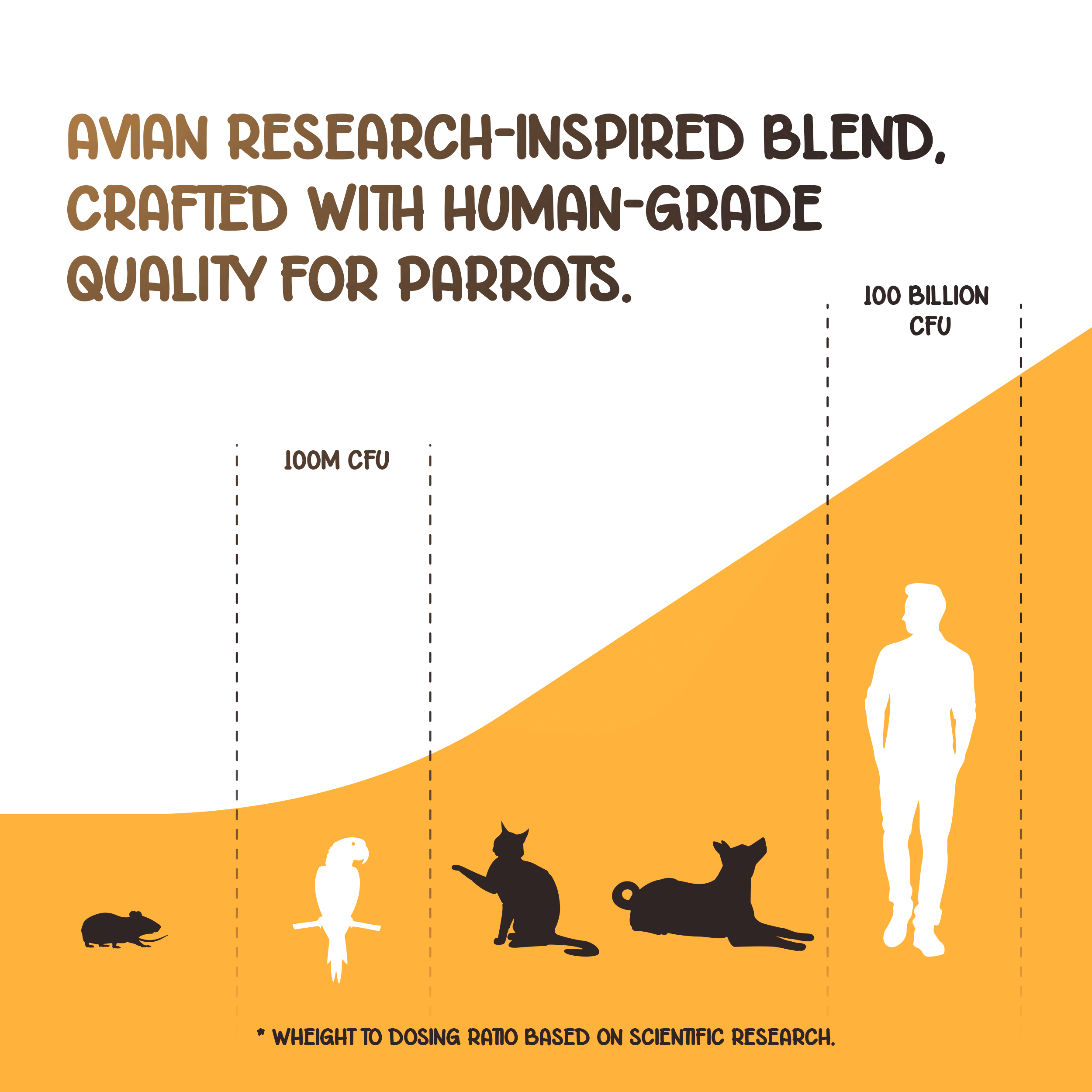 Organic Pre+Pro+Post Biotics Blend for Parrots - 1.06oz