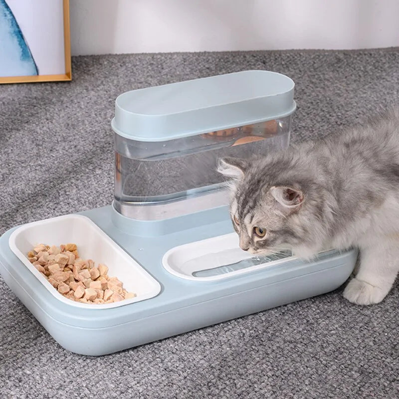 EasyFeed Stylish Pet Bowls