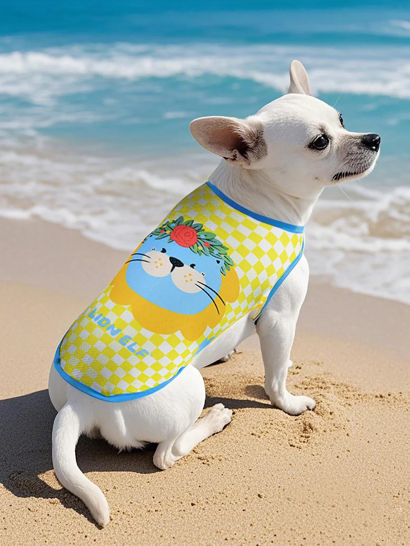 Mesh Summer Pet Vest - Anti-Shed Design