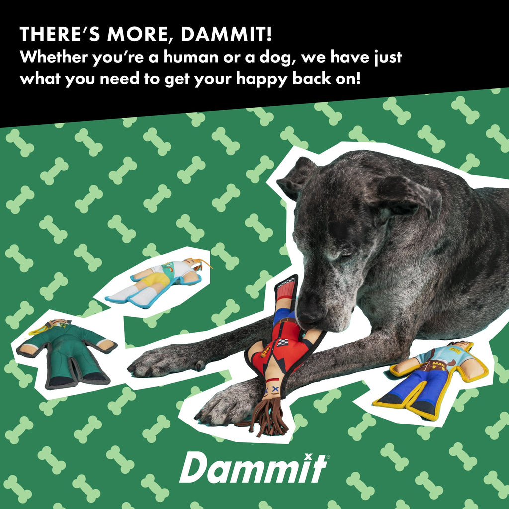 Taxman Squeaky Chew Toy