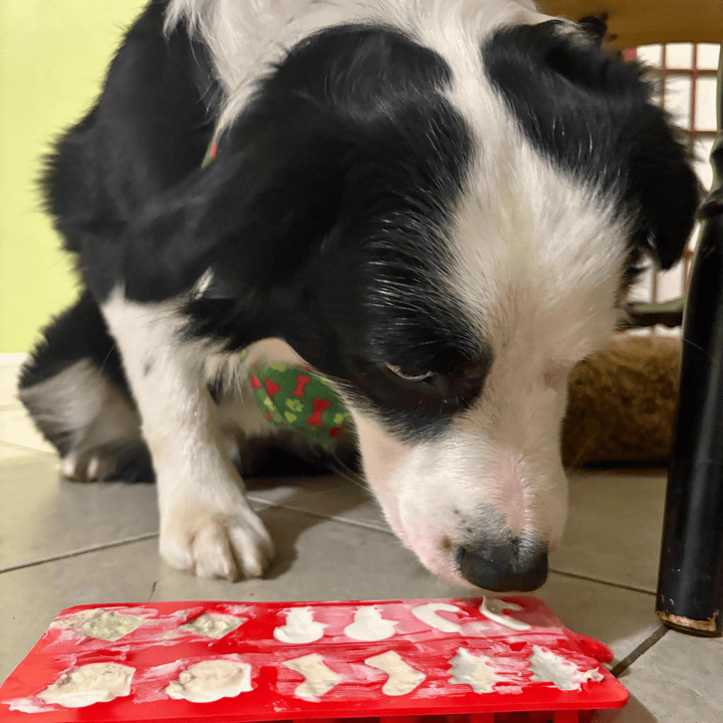 Holiday Pet Treat Mold