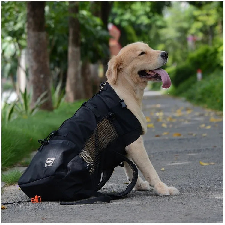 Hiking Pet Dog Carrier Travel Backpack Outdoor Ventilation Outdoor Sport Mesh