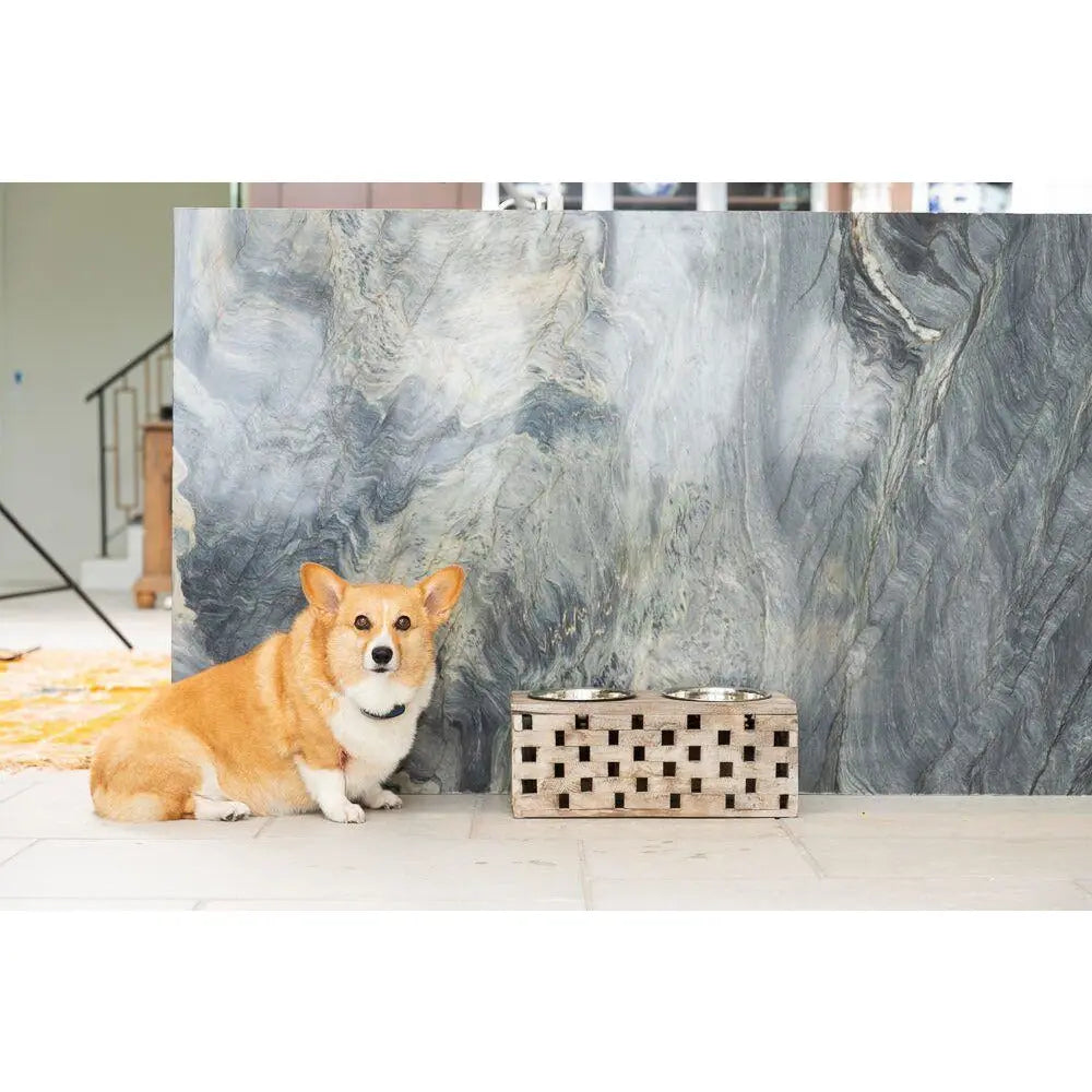 Huntley Pet Elevated Dog and Cat Double Bowl Feeder