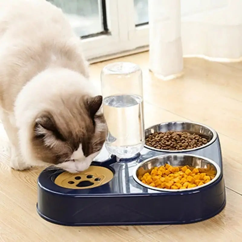Pet Food Bowl w/ Automatic Drink Feeder