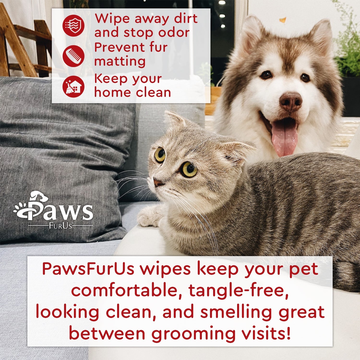 PawsFurUs® Pet Wipes