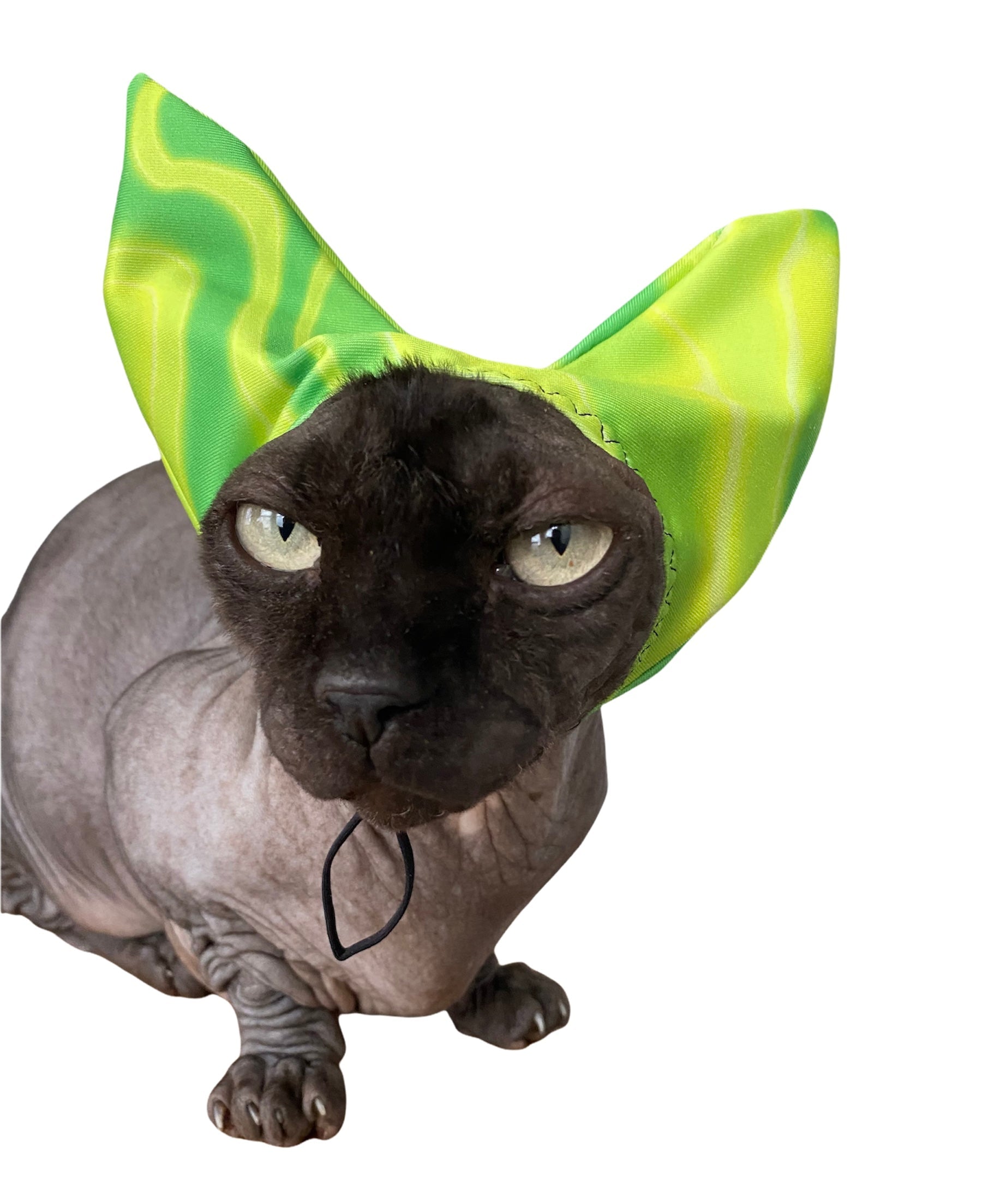 4-ALL PETS SHOWER / EAR / SUN CAP!