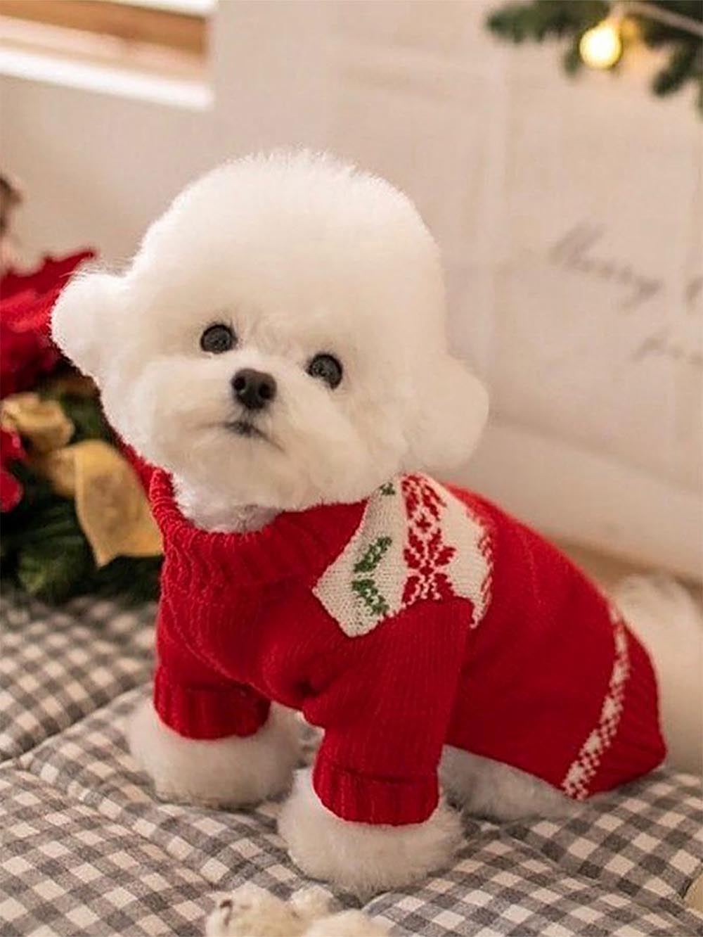 Red Pet Christmas Sweater | NCS