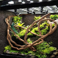 Large Flexible Vines Rattan Habitat Decoration Bendable Jungle