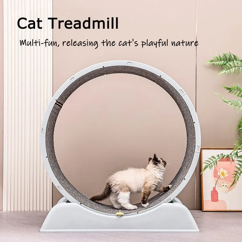 Purrfect Fit: Silent Cat Exercise Wheel