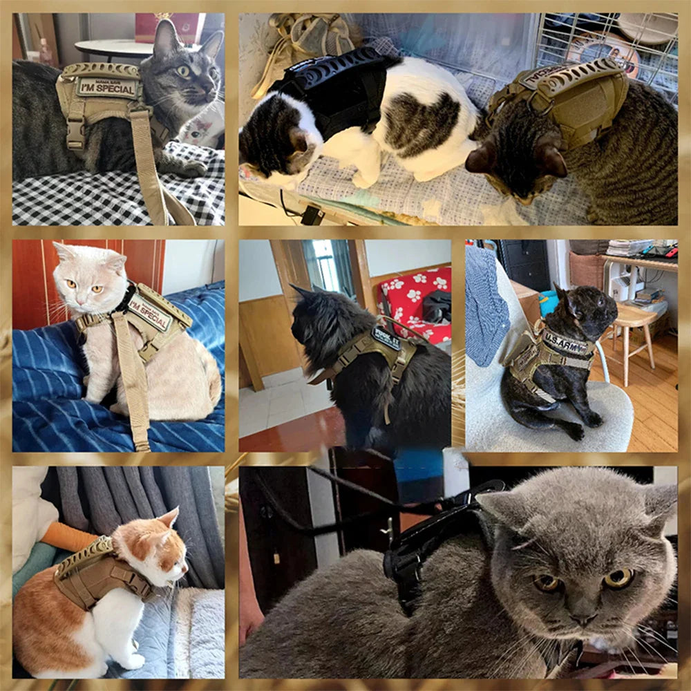 Tactical Cat Harness with 2 Patches Stickers Vest Harnesses