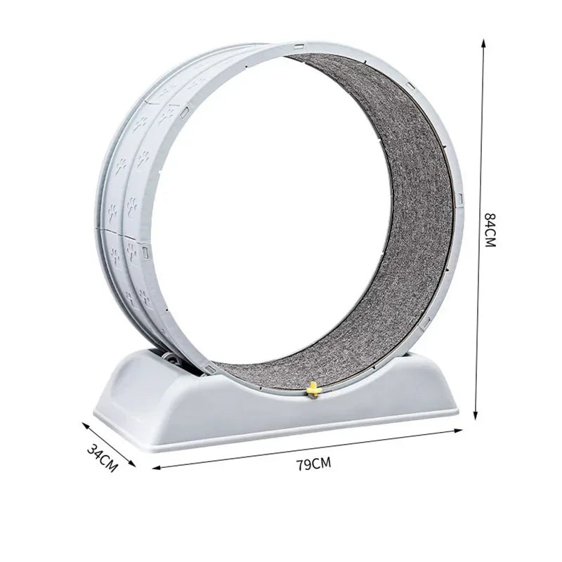 Purrfect Fit: Silent Cat Exercise Wheel