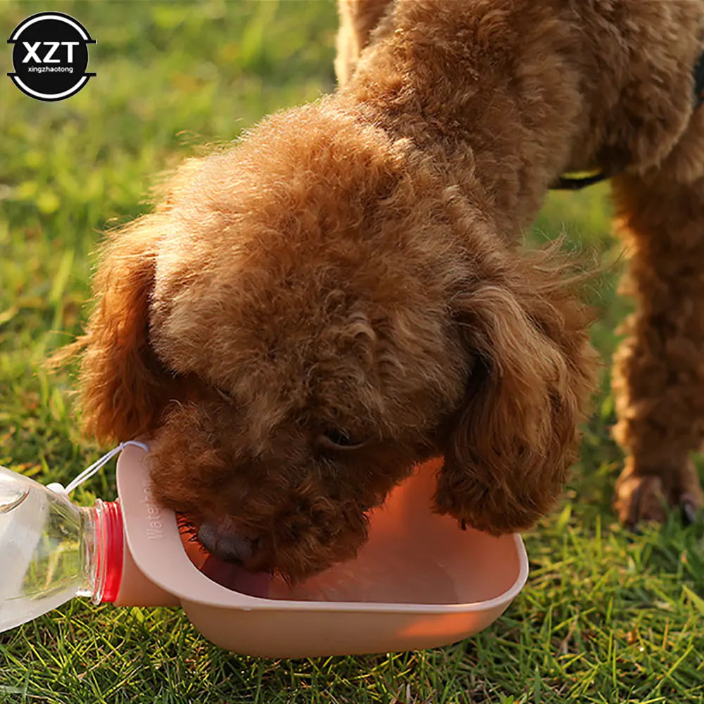 Travel Pet Water Bowl
