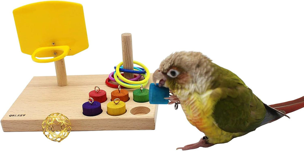 Engaging Bird Toys for Budgies and Parrots