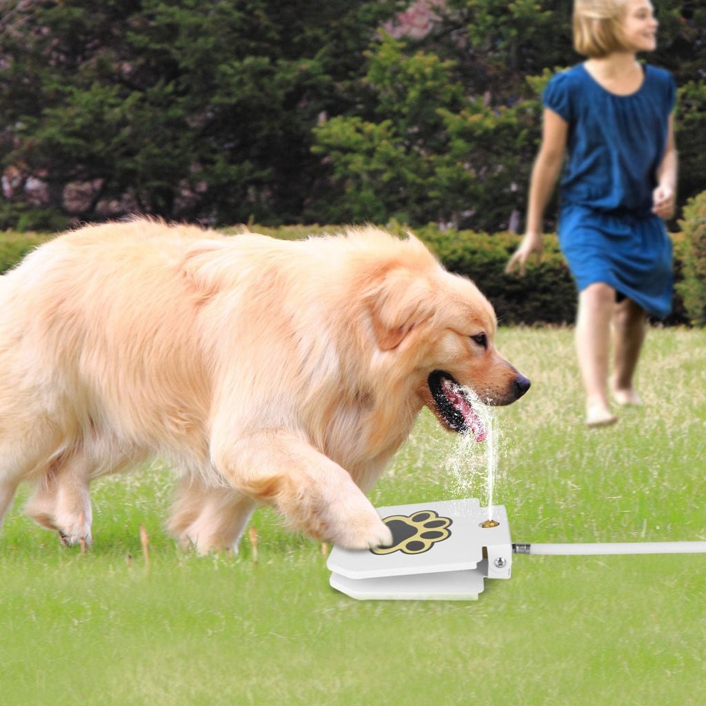 Outdoor Dog Water Fountain Step-On Activated Pet Water Dispenser