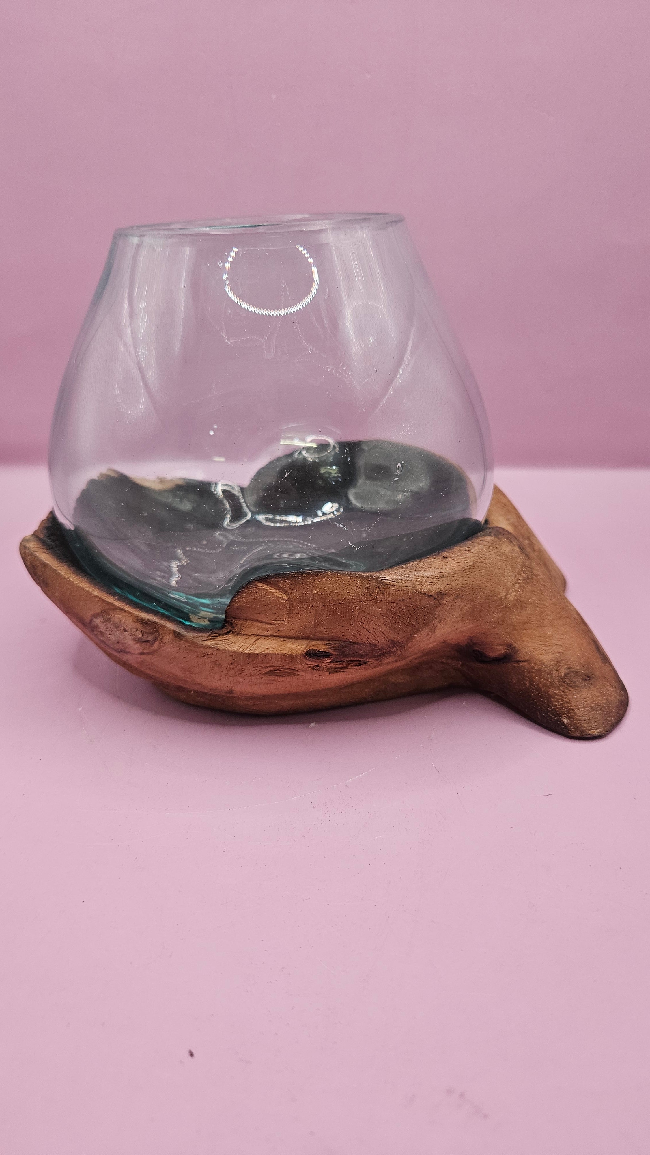 Carved Wooden Hand and Molten Glass Terrarium