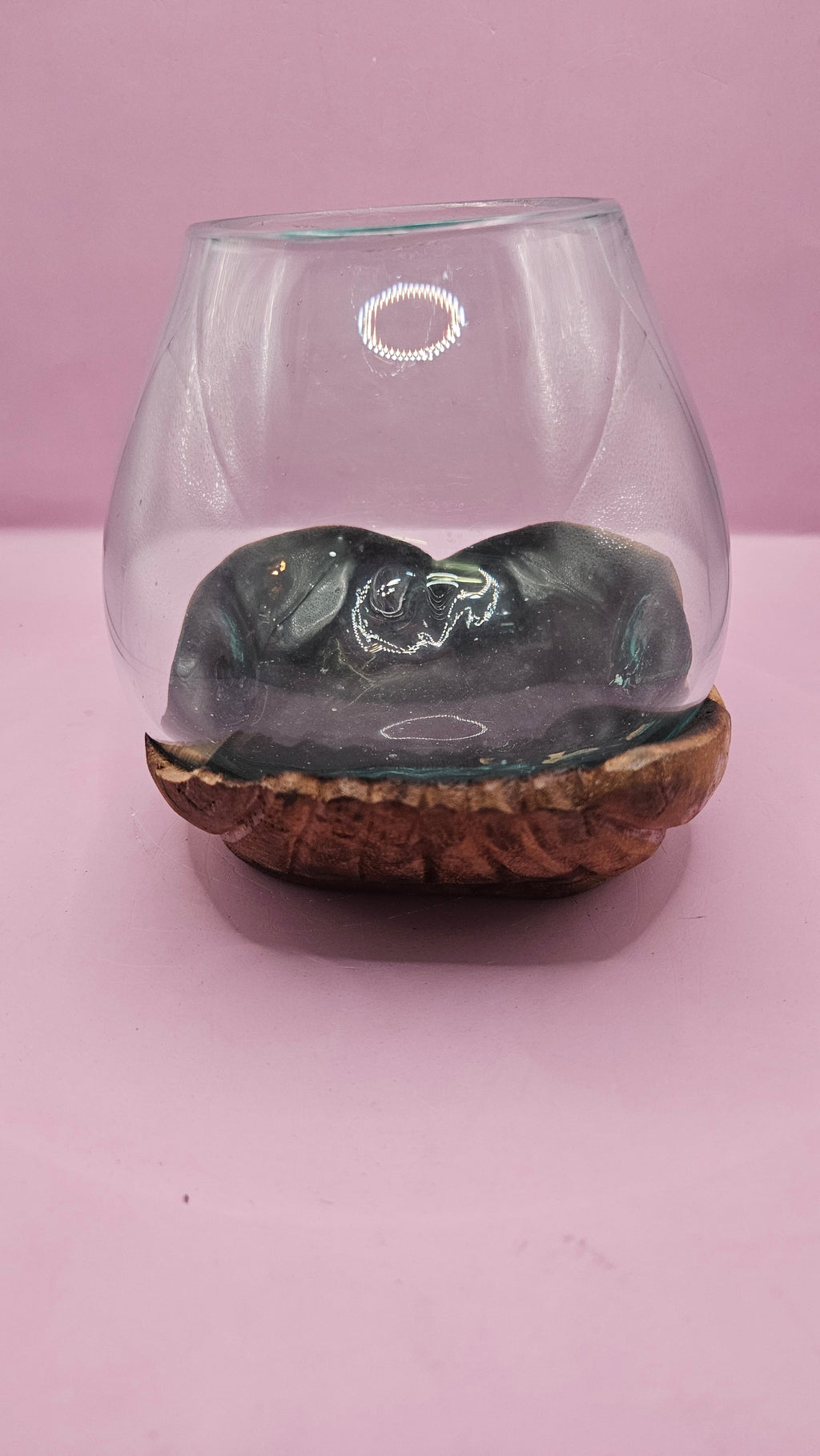 Carved Wooden Hand and Molten Glass Terrarium