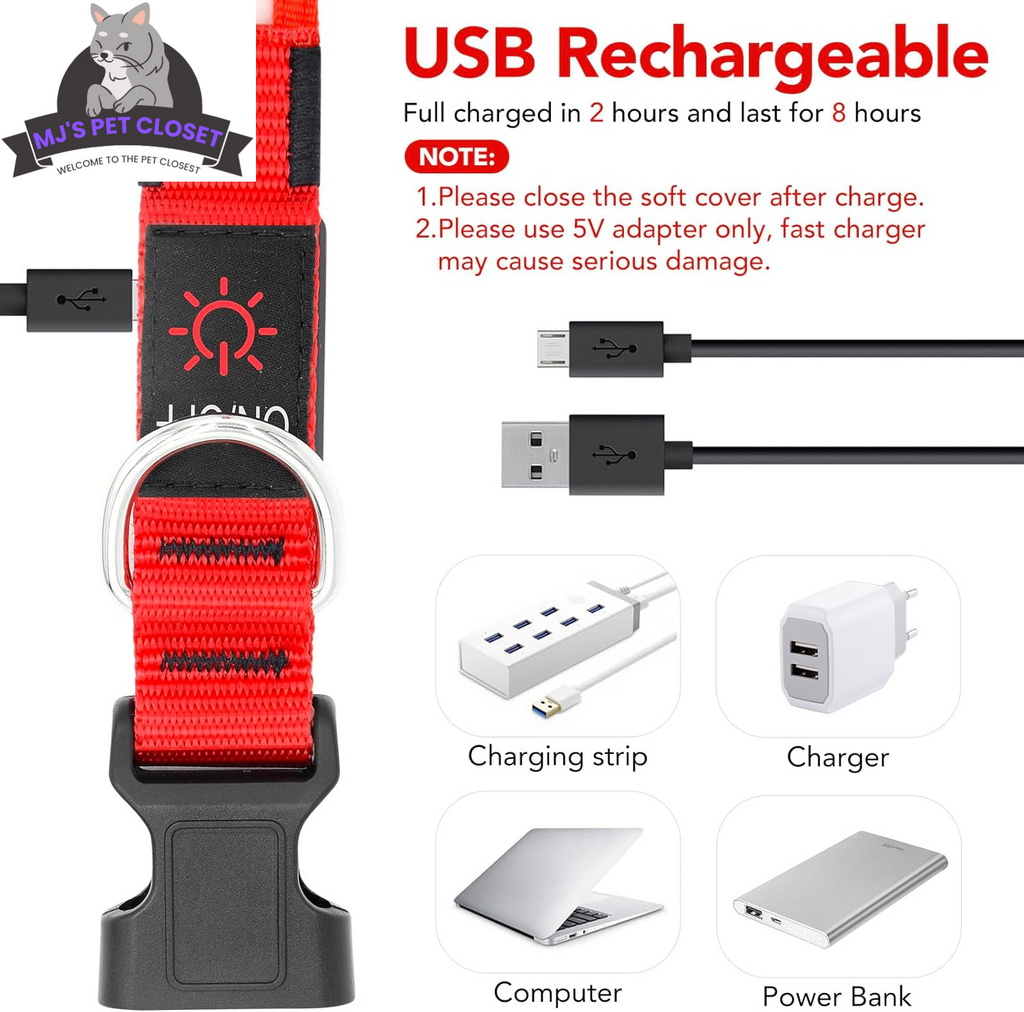 Brighten up your pup's night walks with our adjustable LED Dog Collar! 🌟 USB rechargeable & super safe! 🐾❤️